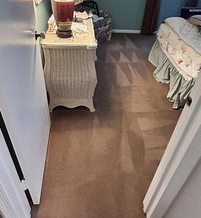 Professional Carpet Cleaning Services Professional Carpet Cleaning Services