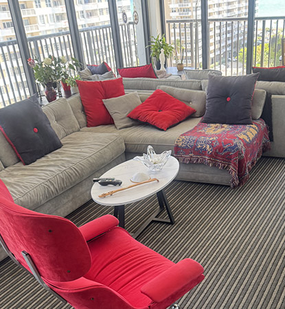 Professional Upholstery Cleaning Professional Upholstery Cleaning